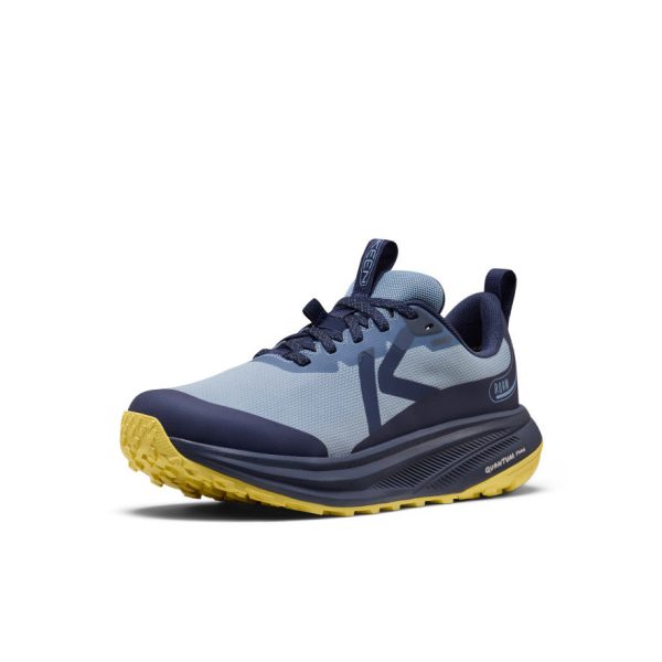 Women's Roam Waterproof Trail Running Shoe  |  Faded Denim/Lemon Grass