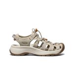 Women's Astoria West Sandal  |  Plaza Taupe/Roasted Pecan