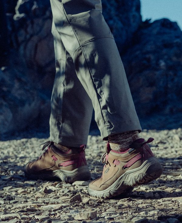 Women's Targhee IV Waterproof Hiking Shoe  |  Abbey Stone/Lily Pad