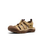 Men's Newport H2 Sandal  |  Mesa Glow