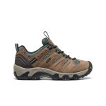 Women's Headout Waterproof Hiking Shoe  |  Shitake/Dark Forest