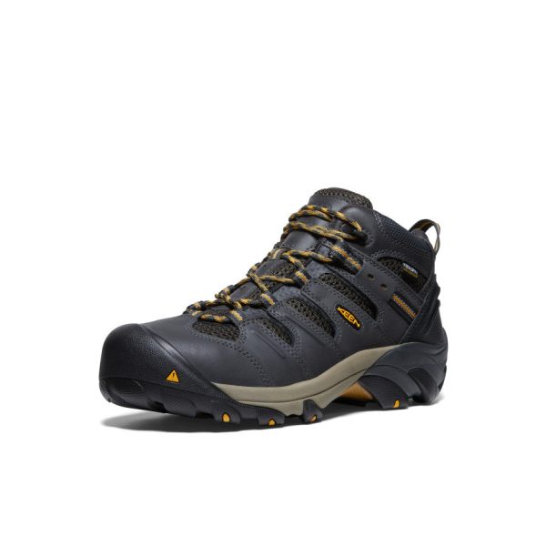 Men's Lansing Mid Waterproof (Steel Toe)  |  Raven/Tawny Olive