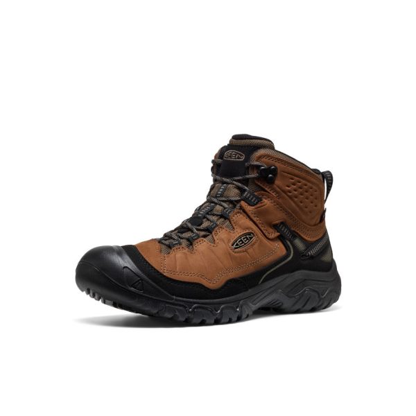 Men's Targhee IV Waterproof Hiking Boot  |  Bison/Black