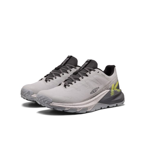 Men's Targhee Apex Waterproof Hiking Shoe  |  Alloy/Evening Primrose
