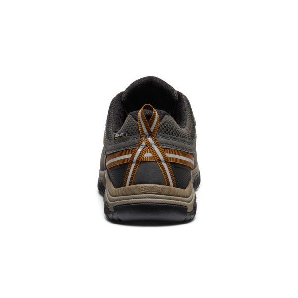 Men's Targhee III Waterproof  |  Black Olive/Golden Brown