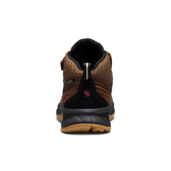Little Kids' Hightrail Waterproof Hiking Boot  |  Dark Earth/Garnet