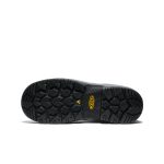 Men's Evanston 8 Insulated Waterproof Boot (Soft Toe) | Bison/Black