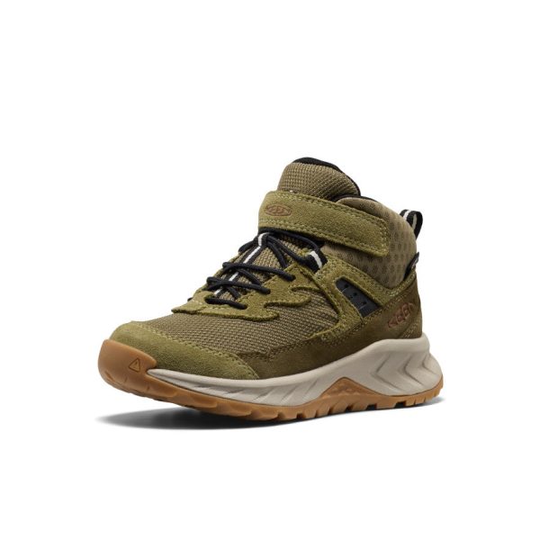 Little Kids' Hightrail Waterproof Hiking Boot | Dark Olive/Martini Olive