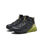 Men's Targhee Apex Waterproof Hiking Boot | Black/Golden Cypress