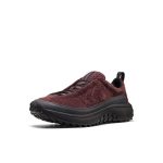 Men's KS Mino Sneaker  |  Huckleberry/Black