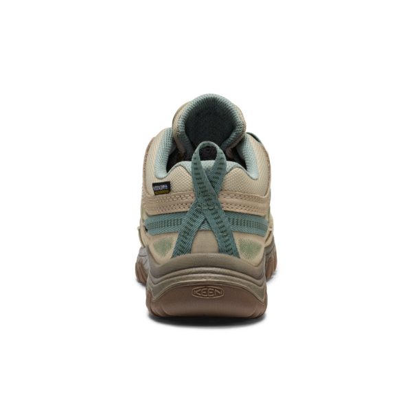 Women's Targhee IV Waterproof Hiking Shoe  |  Abbey Stone/Lily Pad