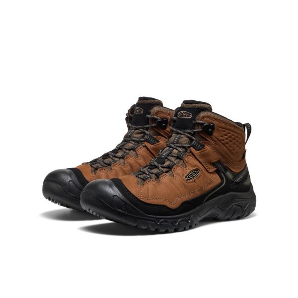 Men's Targhee IV Waterproof Hiking Boot  |  Bison/Black