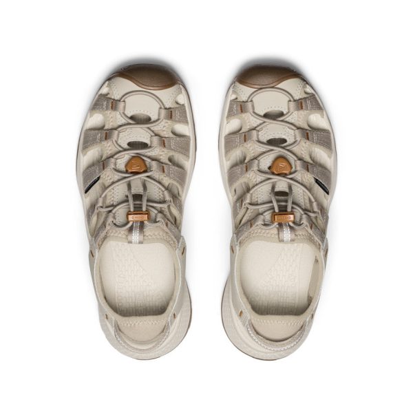 Women's Astoria West Sandal  |  Plaza Taupe/Roasted Pecan