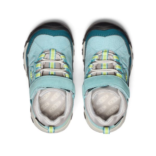 Little Kids' Targhee IV Waterproof Hiking Shoe  |  Reef Waters/Daiquiri Green