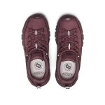 Women's Targhee EXP Waterproof Hiking Shoe  |  Huckleberry