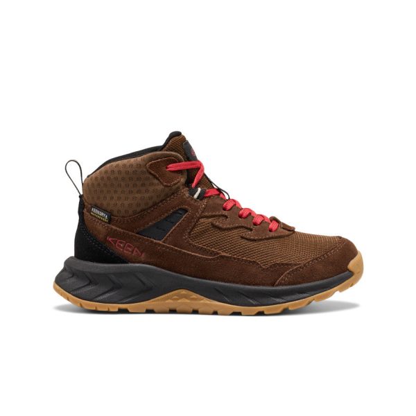 Big Kids' Hightrail Waterproof Hiking Boot  |  Dark Earth/Garnet