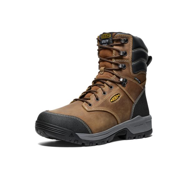Men's Evanston 8 Insulated Waterproof Boot (Soft Toe) | Bison/Black