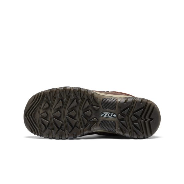Men's Targhee IV Waterproof Hiking Boot  |  Java/Brindle