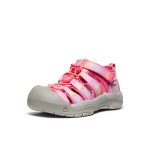 Little Kids' Newport H2  |  Hot Pink/Orchid Petal