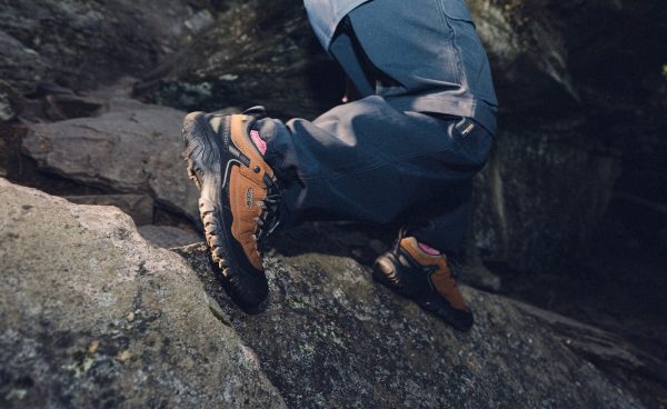 Men's Targhee IV Waterproof Hiking Shoe  |  Sea Turtle/Roasted Pecan