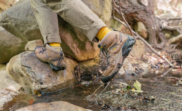 Men's Targhee II Waterproof Mid Wide | Black Olive/Chipmunk