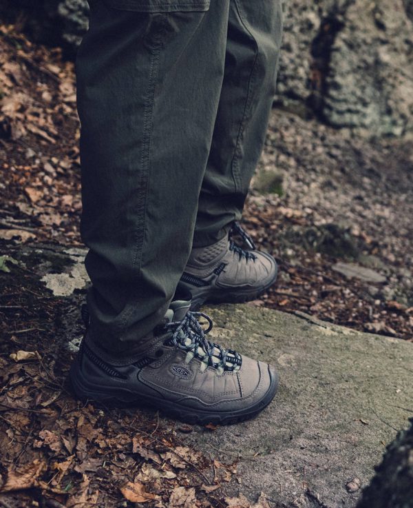 Women's Targhee IV Waterproof Hiking Boot | Steel Grey/Lily Pad