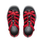 Big Kids' Newport H2  |  Ribbon Red/Gargoyle