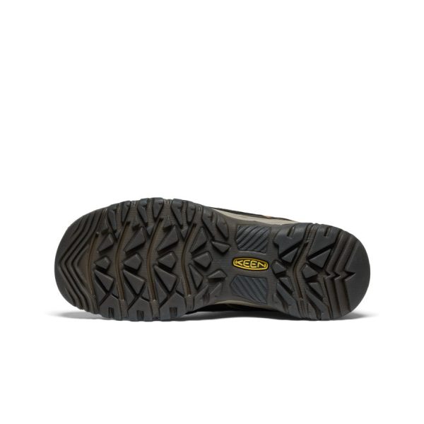 Men's Targhee IV Waterproof Hiking Shoe  |  Sea Turtle/Roasted Pecan