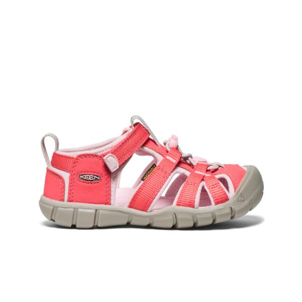 Little Kids' Seacamp II CNX  |  Dubarry/Giggle Pink