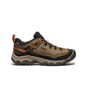 Men's Targhee IV Waterproof Hiking Shoe  |  Sea Turtle/Roasted Pecan