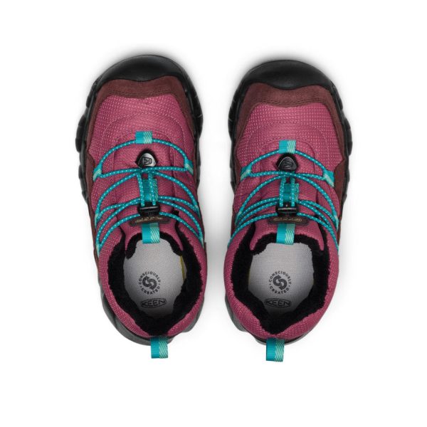 Big Kids' Hypowser Waterproof Chukka  |  Huckleberry/Violet Quartz