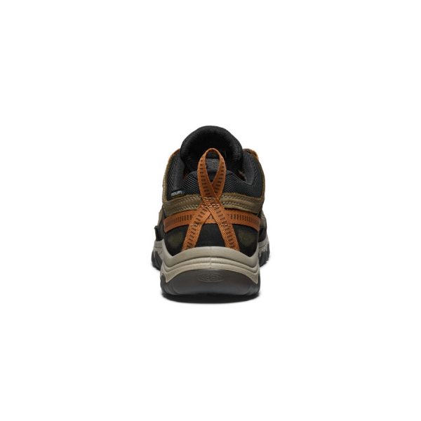 Men's Targhee IV Wide Waterproof Hiking Shoe  |  Sea Turtle/Roasted Pecan