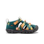 Little Kids' Seacamp II CNX  |  Ombre Mediterranea