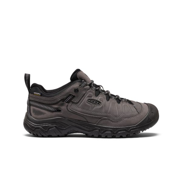 Men's Targhee IV Waterproof Hiking Shoe  |  Magnet/Black