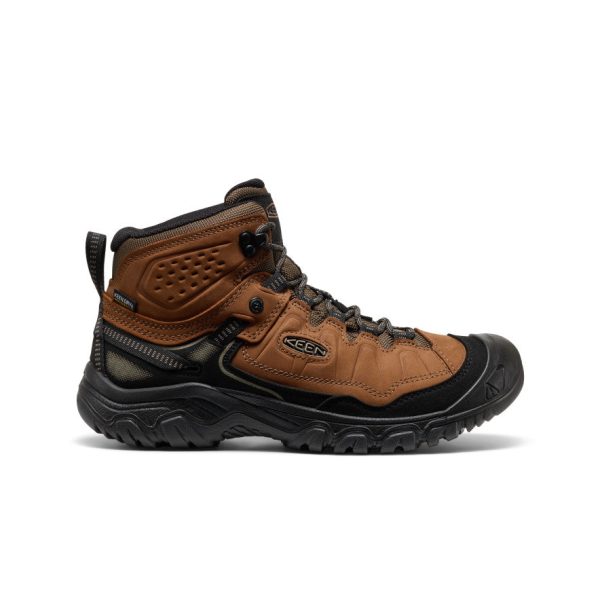 Men's Targhee IV Waterproof Hiking Boot  |  Bison/Black