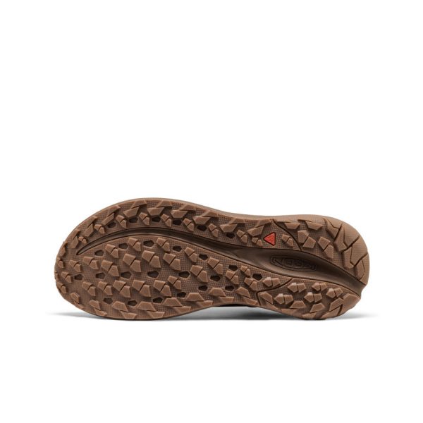 Men's Roam Leather Trail Running Shoe  |  Chipmunk/Dark Earth